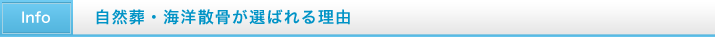 自然葬・海洋散骨が選ばれる理由