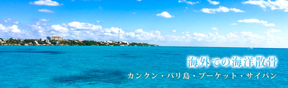 海外散骨はオーシャンライフへ